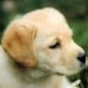 Meet your Posher, Cori